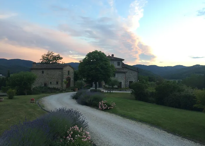 Il Cardo * Anghiari
