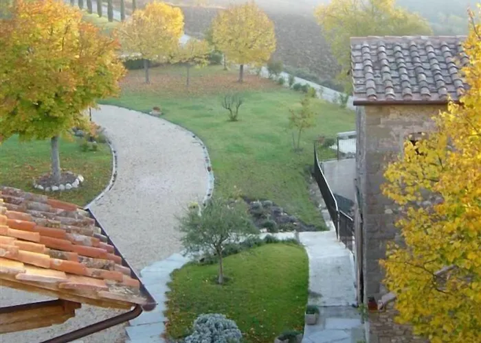Il Cardo