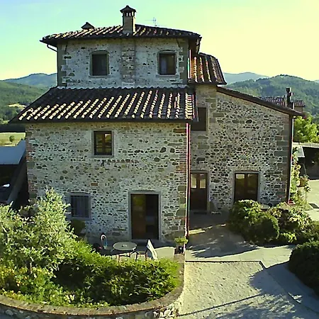Il Cardo