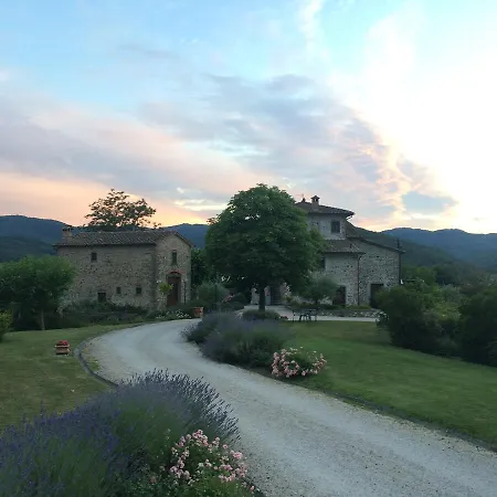 Il Cardo Anghiari