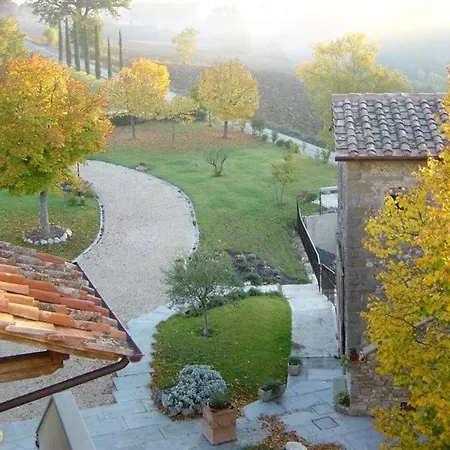 Il Cardo Anghiari